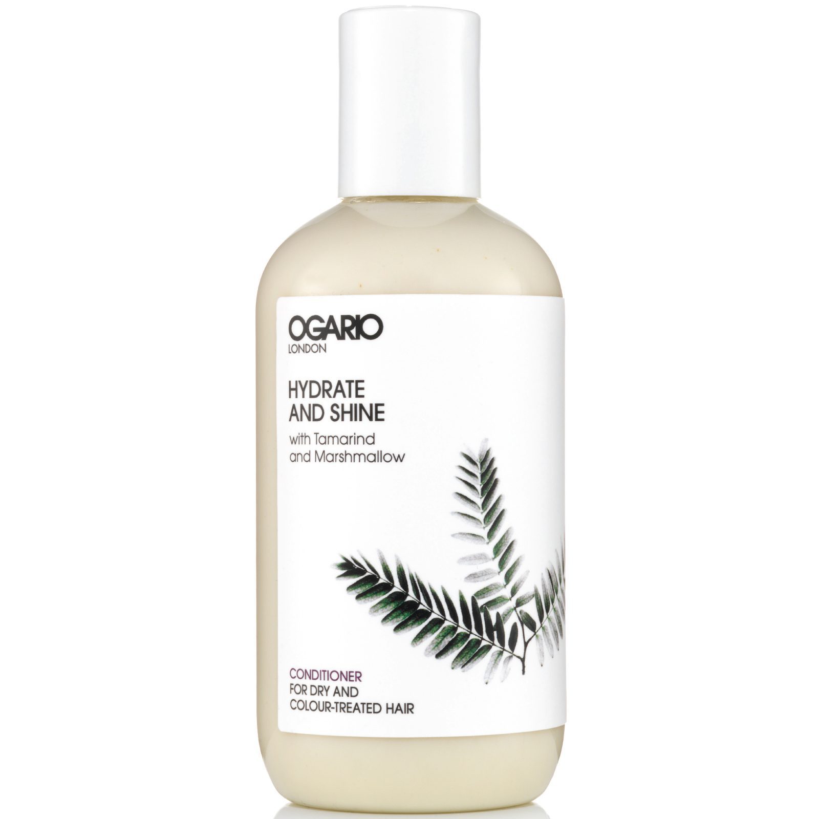 Hydrate and Shine Conditioner; Best for adding moisture to Dry, Damaged or Colour-Treated Hair